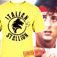 ХИТ МОДЕЛ! Мъжки FITNESS тениски ITALIAN STALLION ROCKY! Бъди различен, поръчай С Твоя идея!, снимка 1 - Тениски - 15473984