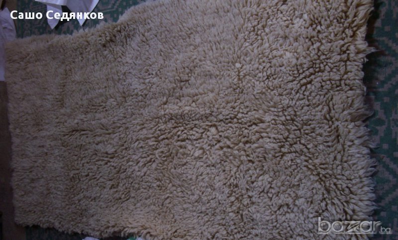 Родопски китеник, снимка 1