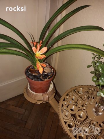 Арт стойка за цветя , свещи или друга декорация или вещи, снимка 10 - Декорация за дома - 23918389