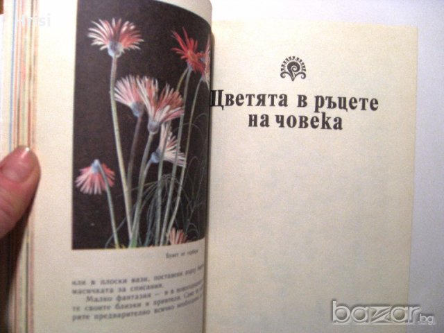Дъга от цветя, снимка 11 - Специализирана литература - 18492514