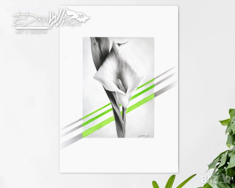 Картина "Цвете Кала" Рисунка с молив и акварел, снимка 1