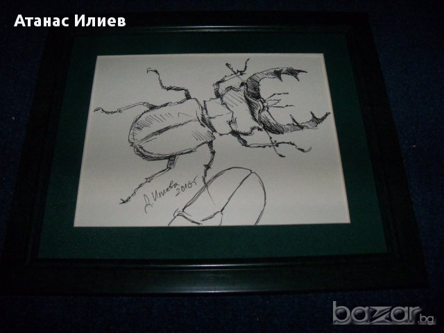 "Бръмбар рогач" графика от художничката Десислава Илиева. , снимка 3 - Картини - 16257953