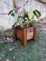 Дървени саксии (кашпи) за растения, снимка 14