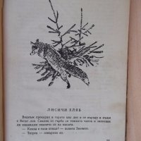 Книга "Златни ливади - М. Пришвин" - 240 стр., снимка 3 - Художествена литература - 18946371