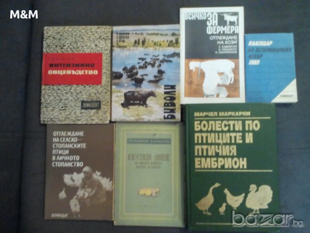 Свиневъдство, биволи, пуйки и ..., снимка 3 - Художествена литература - 10530589