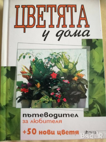 Цветята у дома, снимка 1