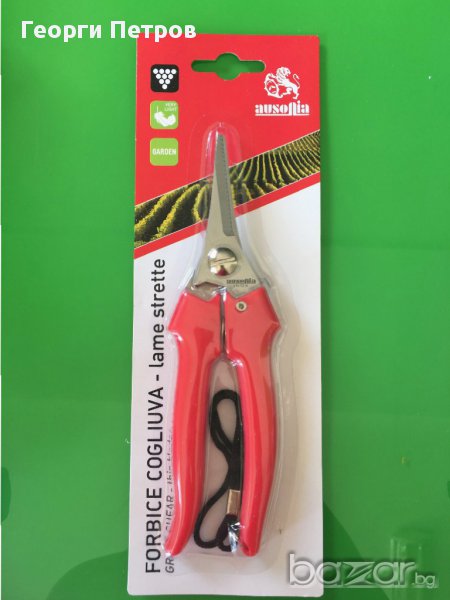 Ножица за бране на грозде Ausonia, снимка 1
