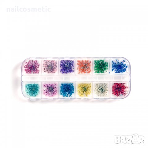 Комплект микс сухи цветя за маникюр, снимка 3 - Продукти за маникюр - 23534540