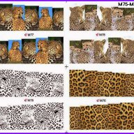 леопард лгепард шарки 4 в 1 татос ваденки водни стикери за нокти маникюр, снимка 1 - Продукти за маникюр - 16869978