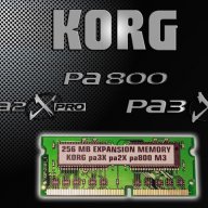 Korg Pa800 256mb рам upgrade Kit + ОС, снимка 1 - Синтезатори - 12431728