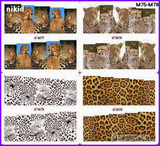 леопард лгепард шарки 4 в 1 татос ваденки водни стикери за нокти маникюр, снимка 1 - Продукти за маникюр - 16869978