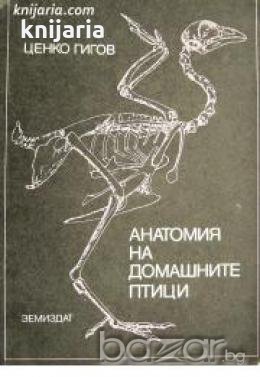 Анатомия на домашните птици , снимка 1 - Други - 20887967