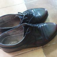 Мъжки Обувки Roberto Cavalli Топ Цена, снимка 1 - Ежедневни обувки - 7562133