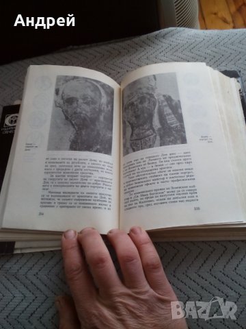 Книга Вечно Зеленото Клонче, снимка 4 - Антикварни и старинни предмети - 24035226