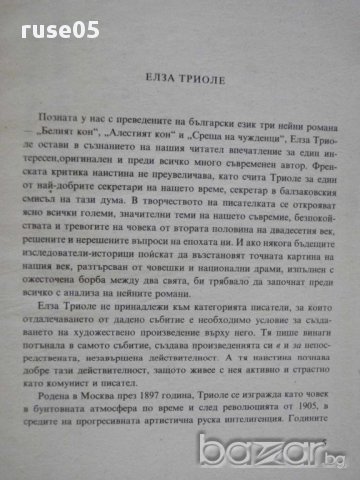 Книга "Великото никога - Елза Триоле" - 302 стр., снимка 3 - Художествена литература - 8419506