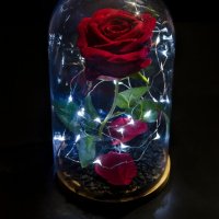 Вечна роза в голяма стъкленица - Стилен подарък за рожден ден на жена / Уникален подарък за юбилей, снимка 6 - Декорация за дома - 19454247