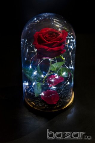 Вечна роза в голяма стъкленица - Уникален и стилен подарък, снимка 5
