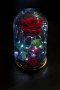 Вечна роза в голяма стъкленица - Стилен подарък за рожден ден на жена / Уникален подарък за юбилей, снимка 6