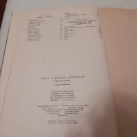 Бяла и цветна бродерия - Л. Кираджиева, снимка 3 - Специализирана литература - 23571632