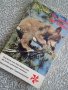 Немска книга "Im Land der Bären", снимка 1 - Художествена литература - 21194767