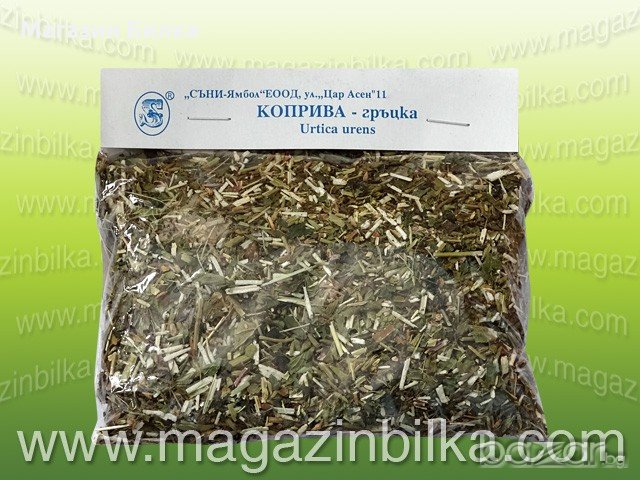 Билка Гръцка Коприва, снимка 1