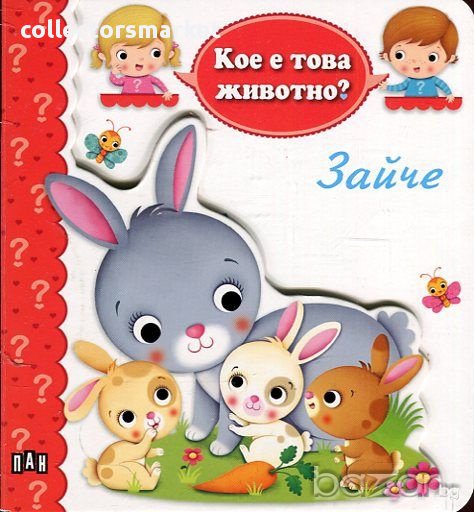 Кое е това животно? Зайче, снимка 1