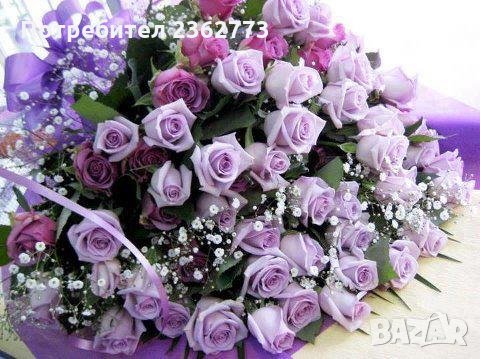 Уроци по холандски (нидерландски) език