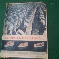 Списание с откритието на Катинското клане от 1943 г, снимка 1 - Колекции - 25178272