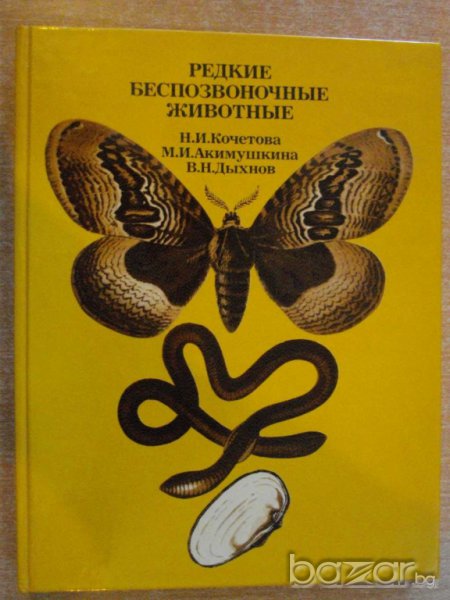 Книга "Редкие беспозвоночные животные-Н.Кочетова" - 208 стр., снимка 1