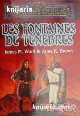 La trilogie des héros de Phlan tome 2: Les fontaines de ténèbres 