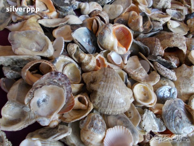  Украса за аквариуми - 2,2 кг. , снимка 3 - Други ценни предмети - 17911854