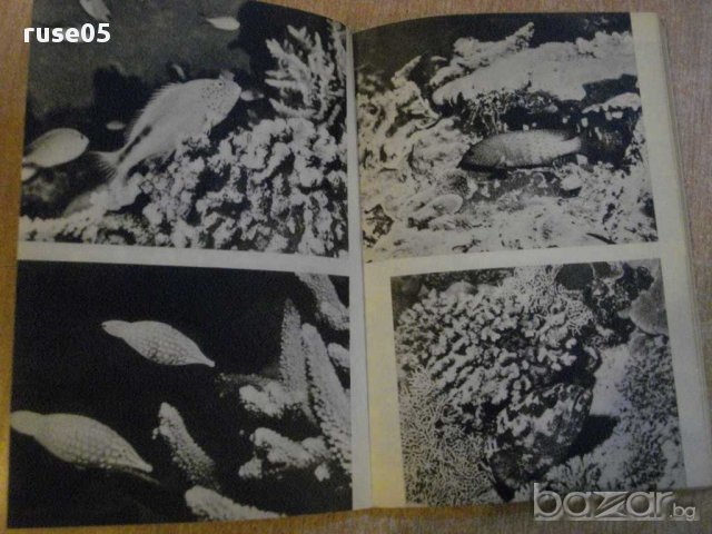 Книга "В царството на 1000 та атола-И.А.Айбесфелд"-182 стр., снимка 6 - Художествена литература - 9333762