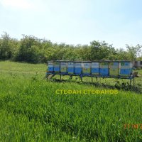 Пчеларска платформа с (ДВЕ ЛИЦА) +колесар за пчелни кошери, снимка 8 - Селскостопанска техника - 18384949