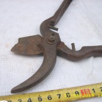 стара лозарска ножица, снимка 3 - Антикварни и старинни предмети - 22615309