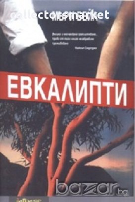 Евкалипти, снимка 1