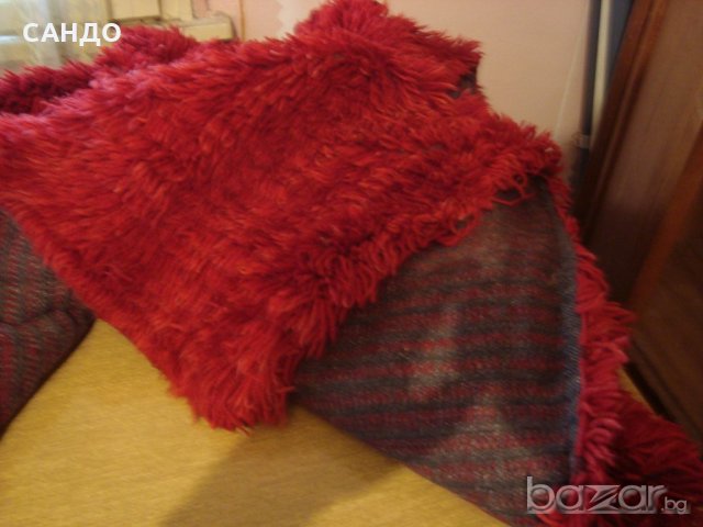 Червен китеник вълна