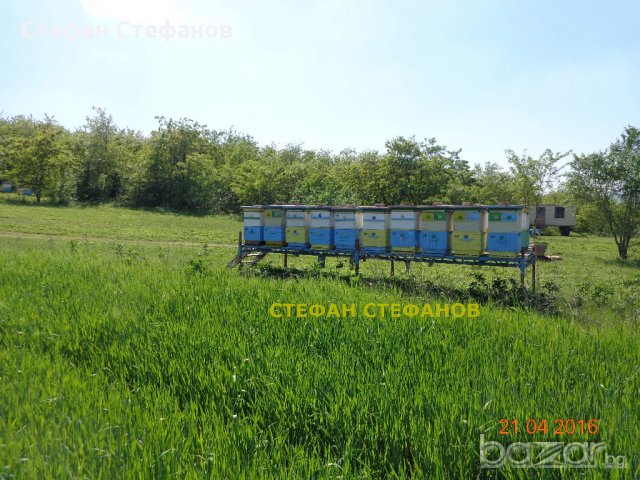 Пчеларска платформа с (ДВЕ ЛИЦА) +колесар за пчелни кошери, снимка 8 - Селскостопанска техника - 18384949