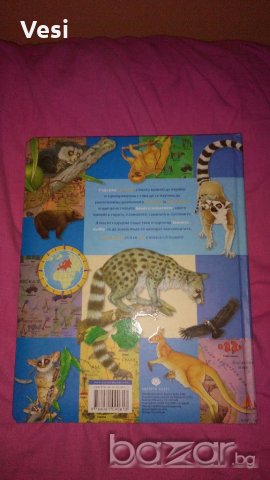 Луксозна книга - пъзел, снимка 2 - Специализирана литература - 20532769