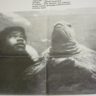 Оригинален филмов плакат на "Тутси" от 1984 г., снимка 4 - Други ценни предмети - 17308070