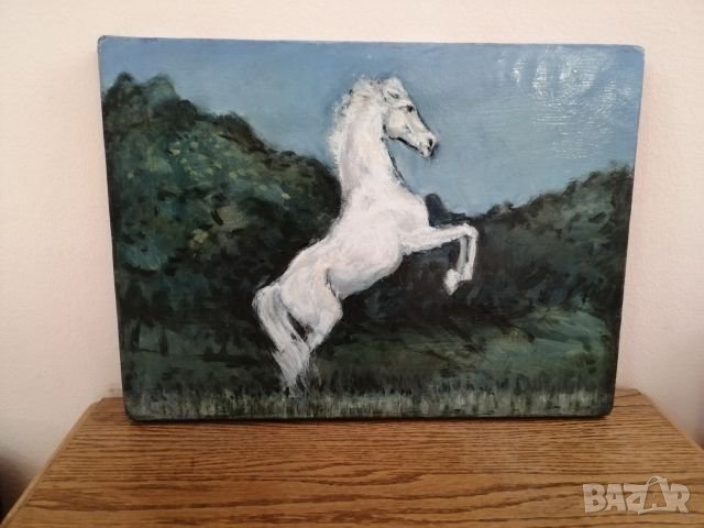 Картина  маслени бои. , снимка 1