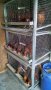 Оборудвани клетки за пъдпъдъци и кокошки, снимка 12