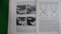 Книги за медицина: „Ръководство по вътрешни болести“ II том – под редакцията на акад.Т.Ташев и др., снимка 15