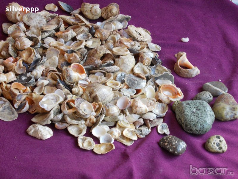  Украса за аквариуми - 2,2 кг. , снимка 1