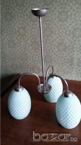 Полилей четри вида