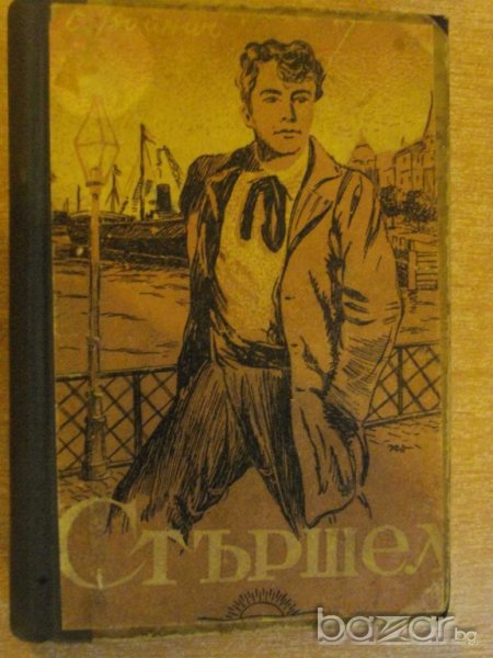 Книга "Стършел - Етел Войнич" - 300 стр., снимка 1