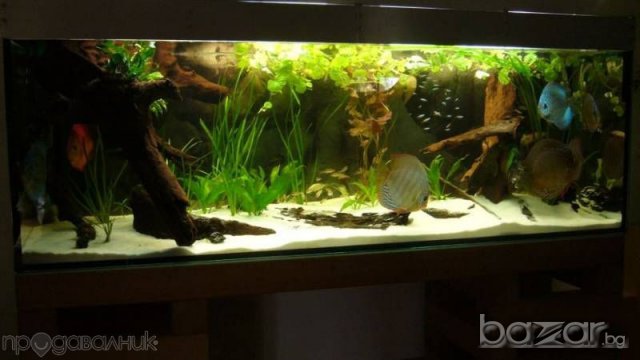 Подръжка на аквариуми, снимка 3 - Аквариуми - 8234776