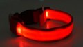 Светещи  Led нашийници,каишки за куче, снимка 3