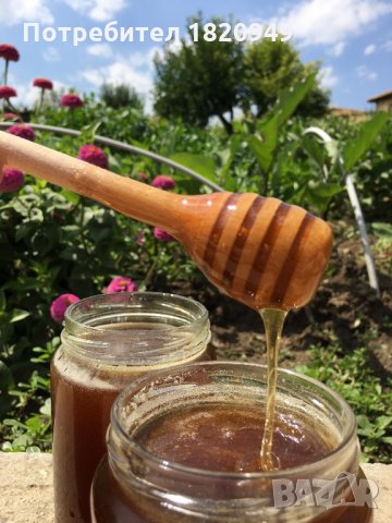 Мед (домашен, натурален, многоцветен букет), снимка 12 - Пчелни продукти - 22186355