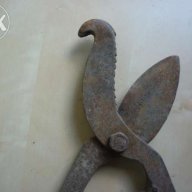 Старинни вет.медицински ножици за скопяване на животни, снимка 5 - Антикварни и старинни предмети - 11872098