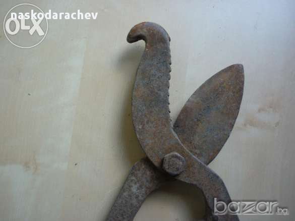 Старинни вет.медицински ножици за скопяване на животни, снимка 5 - Антикварни и старинни предмети - 11872098